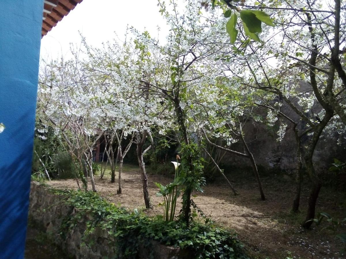 Casas Altas Obidos - AL Sobral (Leiria) Exterior foto